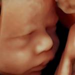 Galleria Dr.ssa Elettra Marullo foto 1